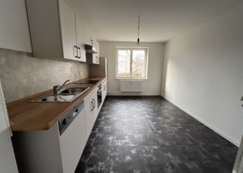 Ruhige Wohnung in Ebersdorf mit moderner Einbauküche, 09131 Chemnitz, Wohnung