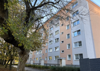 Charmante 3 Raum Wohnung mit großem Balkon, 08529 Plauen, Wohnung
