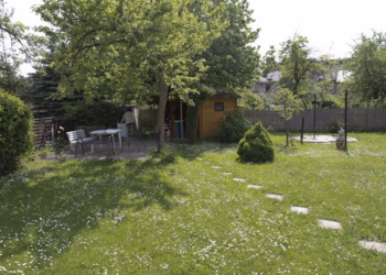 Gemütliches Zuhause im Grünen mit Garten, 09131 Chemnitz, Wohnung