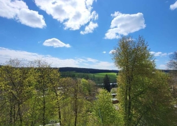 Gemütliches Nest mit Balkon, 08258 Markneukirchen, Etagenwohnung