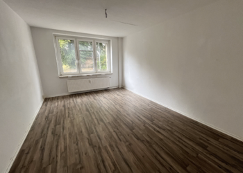 Helle Erdgeschosswohnung mit Dusche, Küche & Garderobenplatz, 09661 Hainichen, Erdgeschosswohnung