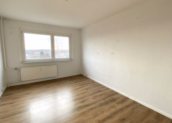 Charmante 2 Raum Wohnung in Altenburg, 04600 Altenburg, Wohnung