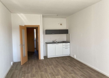 Praktische Singlewohnung mit Einbauküche und Balkon, 08258 Markneukirchen, Wohnung