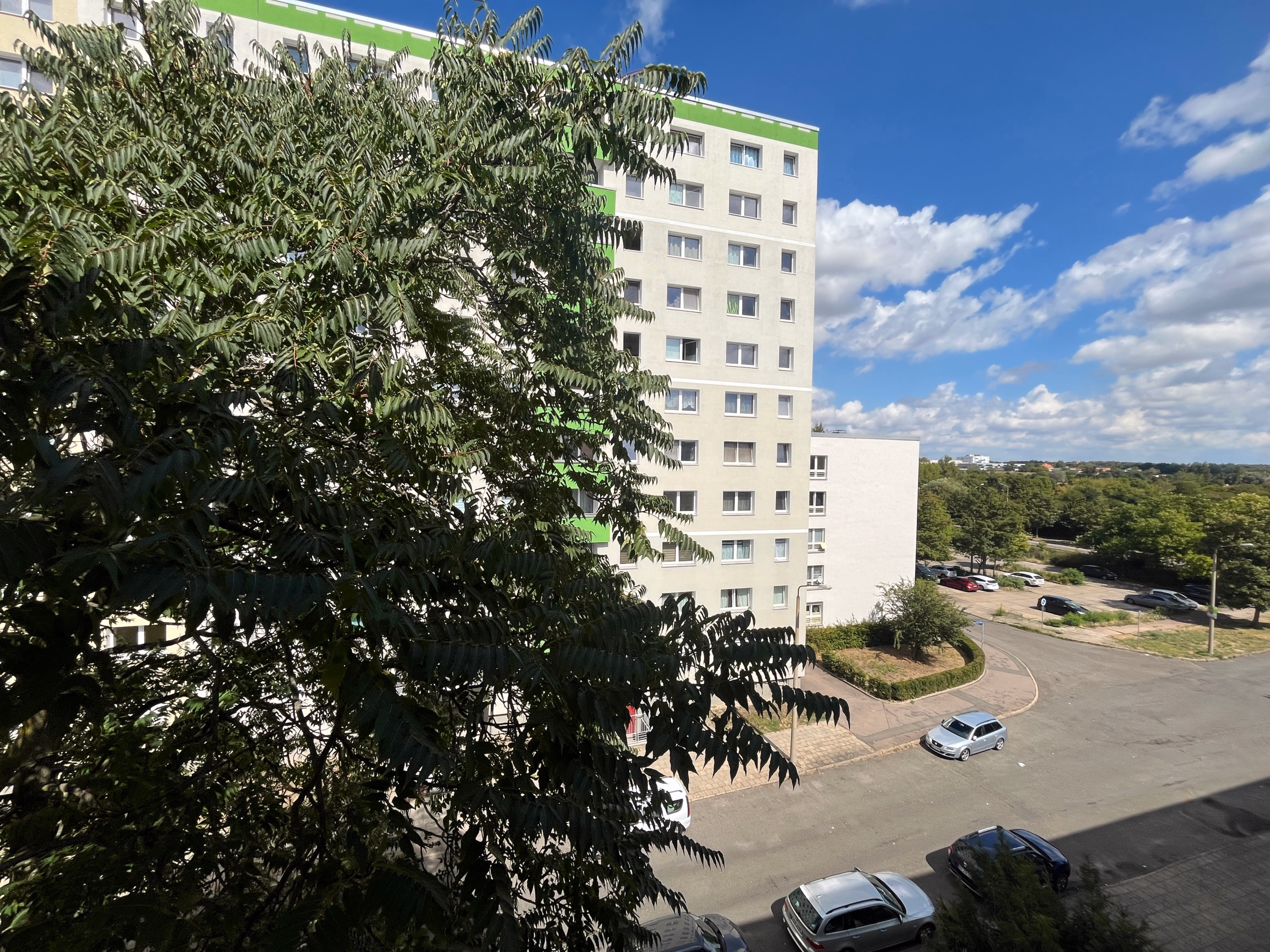 Handwerker aufgepasst: Selbst malern & 2 Monat Kaltmiete sparen 12